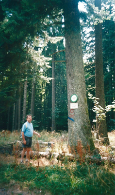wandelen